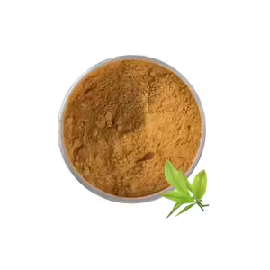 Green Tea Polyphenols 15%